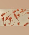 دستاورد دو