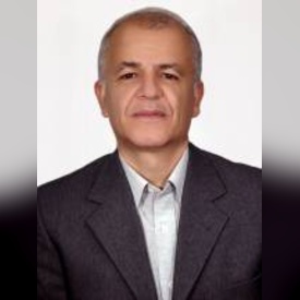 محمد مهدی برادرانی