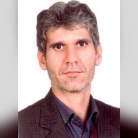 حجت احمدی