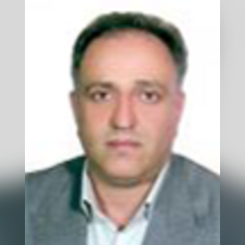 میر حسن سید عامری