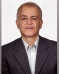 محمد مهدی برادرانی