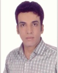 امیر فتحی