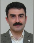 سیدعلی صفوی