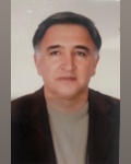 دکتر میرخلیل پیروزی فرد