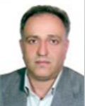 میر حسن سید عامری