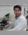 وحید محمدی