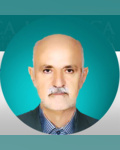 پروفسور سیدمهدی رضوی روحانی
