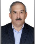 مهدی محمدزاده