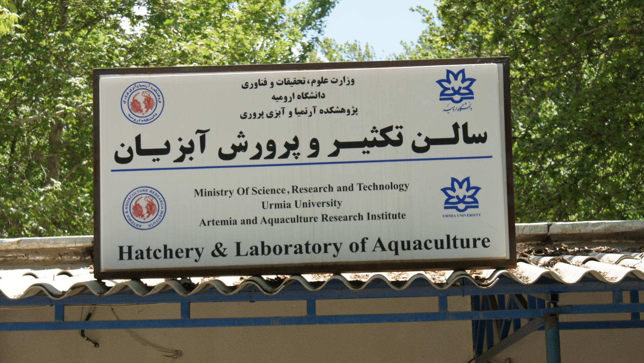 اسلایدر صفحه اصلی پژوهشکده آرتمیا - 3
