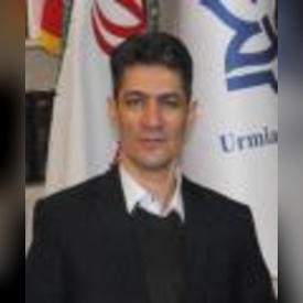 حجت قوی پنجه